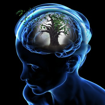 如何保护SSL证书私钥安全